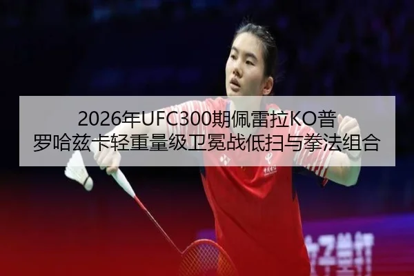nian-qi-pei-lei-la-pu-luo-ha-zi-ka-qing-zhong-liang-ji-wei-mian-zhan-di-sao-yu-quan-fa-zu-he-3-546.jpg