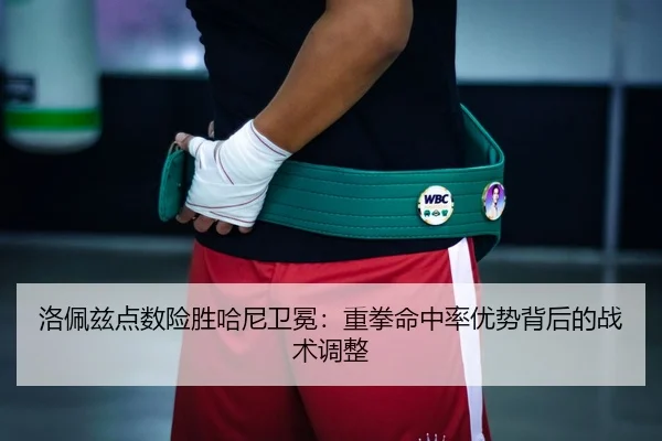 luo-pei-zi-dian-shu-xian-sheng-ha-ni-wei-mian-zhong-quan-ming-zhong-lv-you-shi-bei-hou-de-zhan-shu-tiao-zheng-3-372.jpg